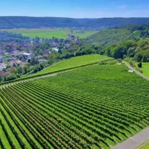 ortofotoplan-2